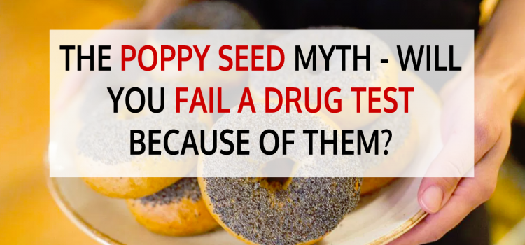 The Shocking Truth: Can Poppy Seeds Really Make You Fail a Drug Test?