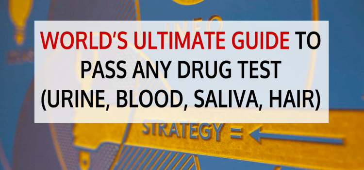 Ultimate Guide on How to Pass a Drug Test